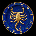 Scorpione da appogiare e appendere (00008) 