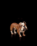 Bulldog (00501-A) 