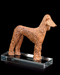 Afghan greyhound(with pedest. in plexi) (00504) 