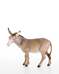 Donkey (10000-14) 