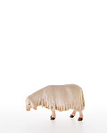 Schnupperndes Schaf (10000-16) 