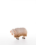 Sheep (10200-16) 