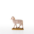 Sheep (21000) 