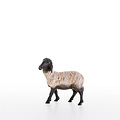 Schwarzkoepfiges Schaf stehend (21205-AS) 