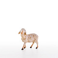 Sheep standing (21205-A) 