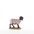 Schwarzkoepfiges Schaf stehend (21206-S) 