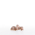 Couple of lambs lying down (21284) 