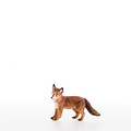 Fox (23051-A) 