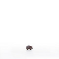 Hedgehog (23058-A) 