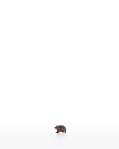 Hedgehog (10200-40) (0,00", ?)