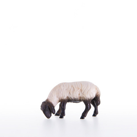 Sheep grazing with black head (21201-AS) (0,00", ?)