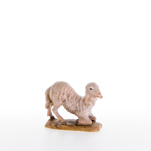 Sheep kneeling (21204) (0,00", ?)