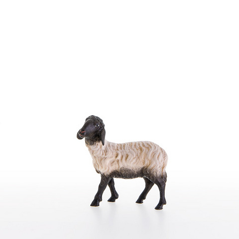 Schwarzkoepfiges Schaf stehend (21205-AS) (0 cm, ?)