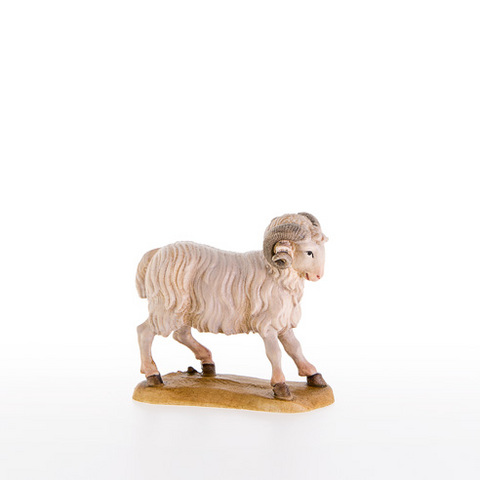 Ram (apropriated for dog 22052) (21279) (0,00", ?)