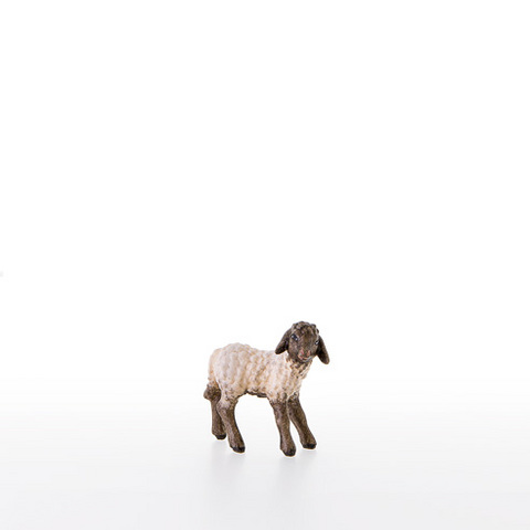 Lamb with black head (21287-AS) (0,00", ?)