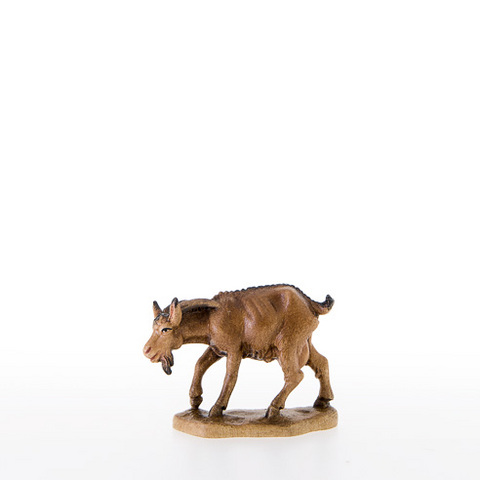 Goat with its head down (21302) (0,00", ?)