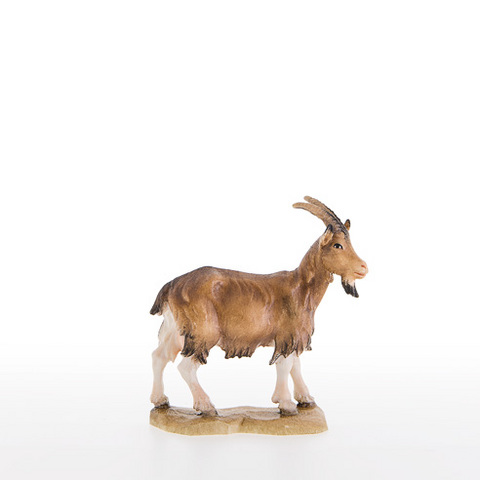 Goat (21305) (0,00", ?)