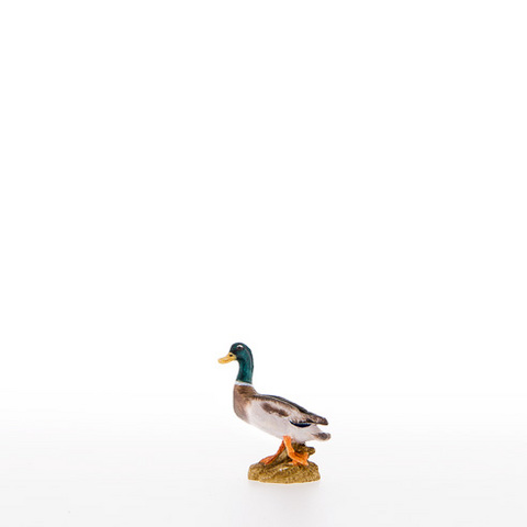 Duck (22350) (0,00", ?)