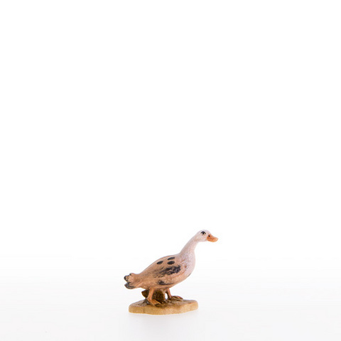 Duck (22352) (0,00", ?)