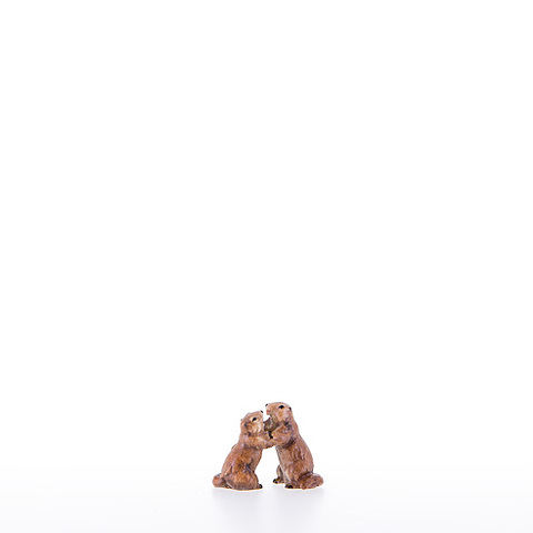 Giovane coppia di marmotte (23053-B) (0 cm, ?)