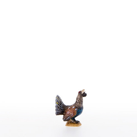 Gallo cedrone (23102) (0 cm, ?)