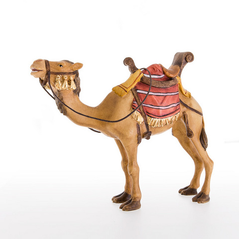 Camel (24024-A) (0,00", ?)