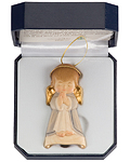 Wish angel with case (light blue) (10207-BA) (0,00