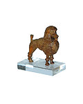 Barboncino(con piedistallo in plexiglas) (00503-) (0 cm, ?)