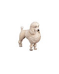 Poodle (without pedestal in plexiglas) (00503-A) 