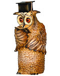 Teacher Owl (00508-) (0,00