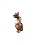 Cat (00612-C) 