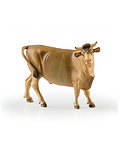 Ochs stehend (10000-013) 