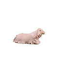 Lamm liegend (10000-025) (0 cm, ?)