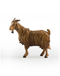 He - goat (10000-039) 
