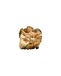 Gesu' Bambino con culla 2 pezzi (10801-01B) (0 cm, ?)