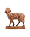 Pecora (21000-) 