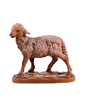Sheep standing (21006-) 