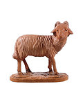 Ram (21079-) 