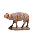 Sheep standing (21100-) 