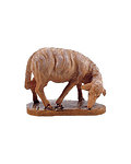 Sheep grazing (21101-) 
