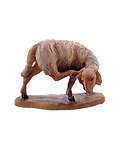 Sheep scratching (21105-) 