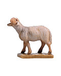 Sheep standing (21106-) 
