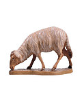 Sheep grazing (21107-) 