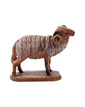 Ram (21177-) 