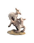 Couple of lambs hopping (21282-) 