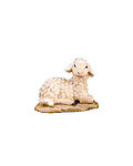 Lamb lying (21286-) 