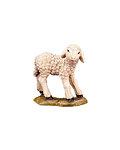 Lamb standing (21287-) 