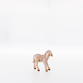 Lamb standing (Without pedestal) (21287-A) 