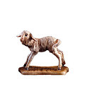 Lamb standing (21289-) 