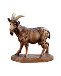 Goat (21300-) 